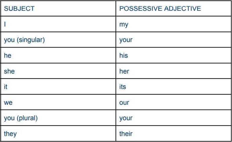 Aggettivi possessivi Inglese